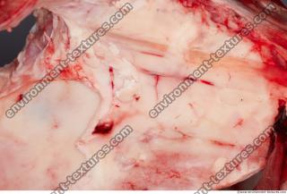 Photo Textures of RAW Beef Meat